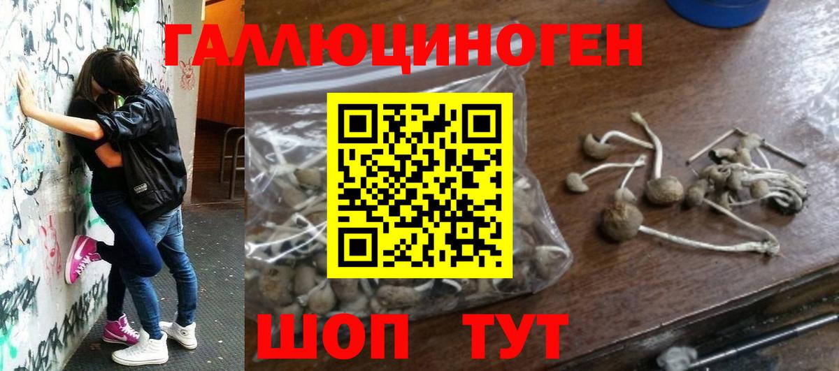 Родники  Псилоцибиновые грибы мицелий  Вход с VPN 
