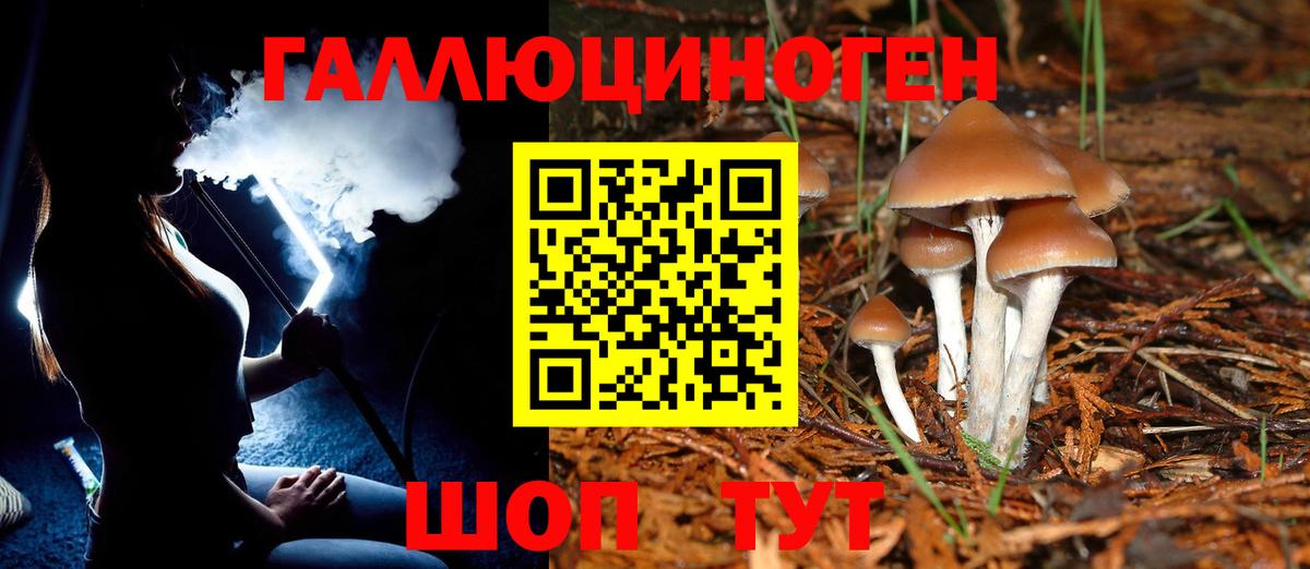 Галлюциногенные грибы GOLDEN TEACHER Родники